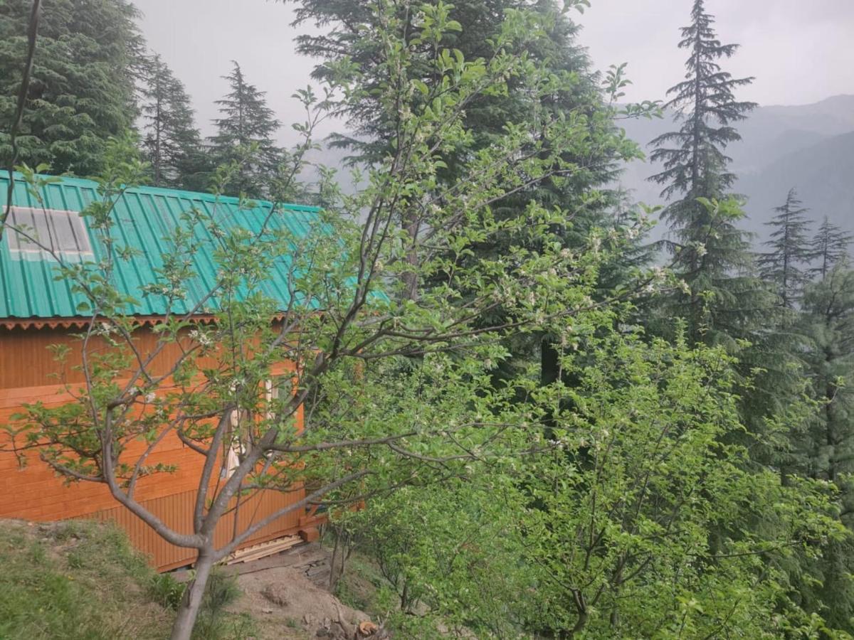 Freebird Nest Jibhi Hotel Exterior photo