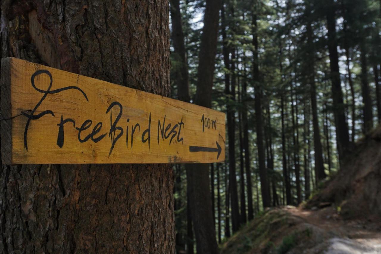 Freebird Nest Jibhi Hotel Exterior photo